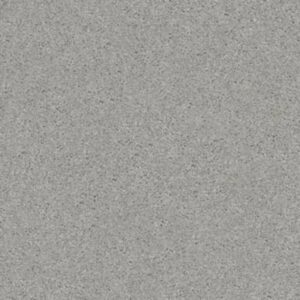 QUIET COMFORT CLASSIC I by Shaw Floors - Haze