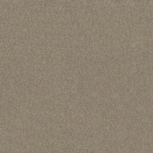 DEVON CLASSIC II by Shaw Floors - Celtic