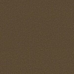 CASHMERE III by Shaw Floors - Bison