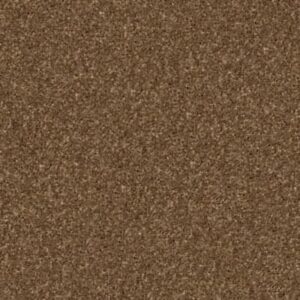 CASHMERE CLASSIC IV by Shaw Floors - Tobacco Leaf