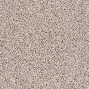 TAKE THE FLOOR ACCENT I by Shaw Floors - Riverbed