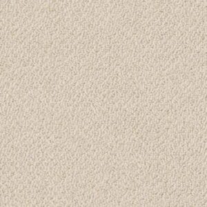 PROVEN IDENTITY LOOP by Shaw Floors - French Linen