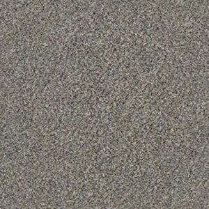 WITHIN REACH III by Shaw Floors - Kidskin