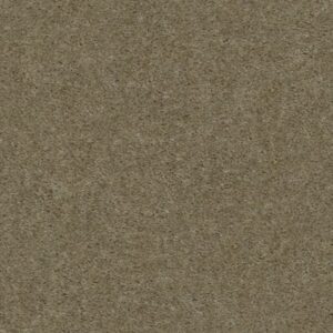 THIS IS IT PLUS by Shaw Floors - Creek Side