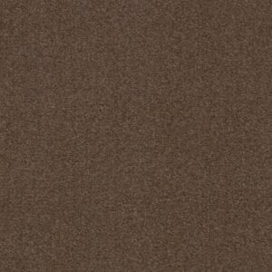HEROIC by Shaw Floors - Truffle