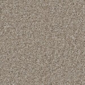 VALIANT by Shaw Floors - Bashful