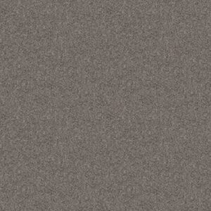 TAKE AWAY (T) by Shaw Floors - Truffle