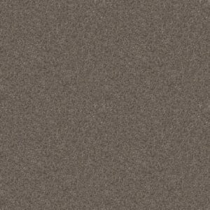 CALM SIMPLICITY II by Shaw Floors - Desert View