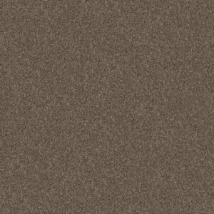 YES YOU CAN I 15' by Shaw Floors - Mission Ridge