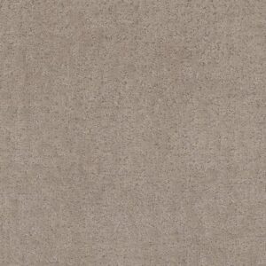 HOME WITHIN by Shaw Floors - Chic Greige