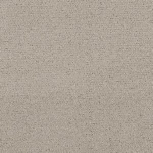 INTRICATE TRACE by Shaw Floors - River Birch