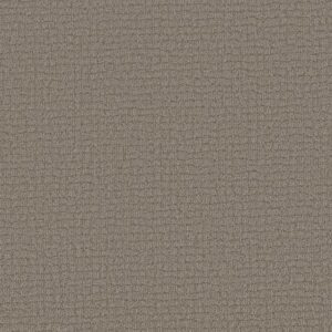 PATH HOME by Shaw Floors - Chic Greige