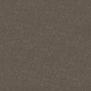 BOUNDLESS III by Shaw Floors - Woodcraft