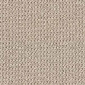 NATURALISTIC by Shaw Floors - Sun Kissed