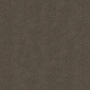 BOUNDLESS II by Shaw Floors - Chestnut Ridge