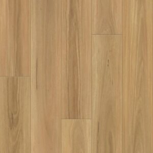 DISTINCTION PLUS by Shaw Floors - Eucalyptus