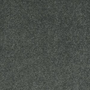 QUIET COMFORT CLASSIC II by Shaw Floors - Emerald