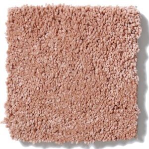 QUIET COMFORT I by Shaw Floors - British Rouge