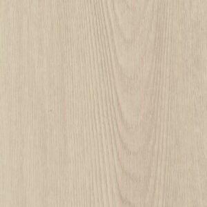 Endura Plus by Shaw Floors - Silver Dollar