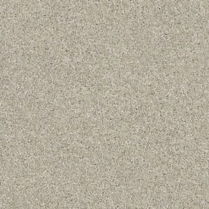 EMBARK by Shaw Floors - Cold Water