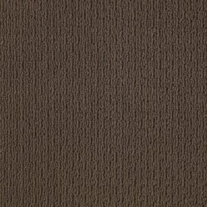 SAN SALVADOR by Shaw Floors - Woodridge