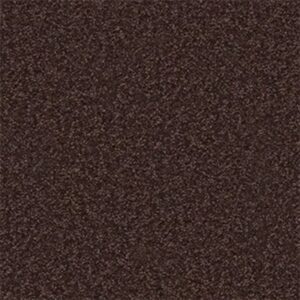 SANDY HOLLOW III 15' by Shaw Floors - Tundra