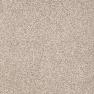 SANDY HOLLOW II 15' by Shaw Floors - Soft Shadow