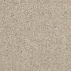 DYERSBURG CLASSIC 15' by Shaw Floors - Plaster