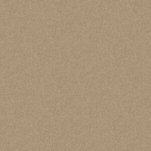 NEWBERN CLASSIC 12' by Shaw Floors - Casual Cream