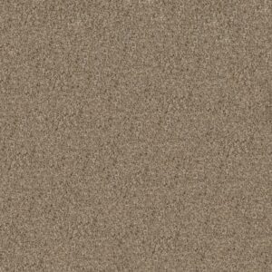 SEE ME by Shaw Floors - Chalet