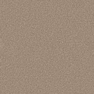 SHAKE IT UP (S) by Shaw Floors - Breeze