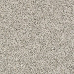 MAKE IT WORK by Shaw Floors - Trade Wind