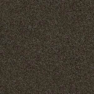 TIP OF THE HAT by Shaw Floors - Garden Retreat