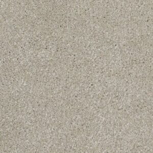 LAGUNA BEACH by Shaw Floors - Greige