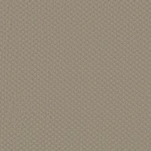 ENTWINED WITH YOU by Shaw Floors - Park Avenue