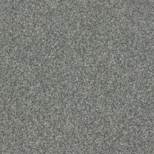 CABANA LIFE (T) by Shaw Floors - Shadow