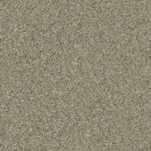 ALL SET I by Shaw Floors - Tree House
