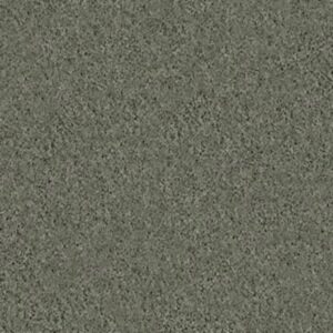 BEAUTIFULLY SIMPLE II 15' by Shaw Floors - Spring Leaf