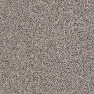POISED by Shaw Floors - Flannel Gray