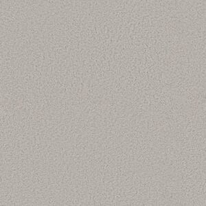 AERIAL VIEW by Shaw Floors - Haze