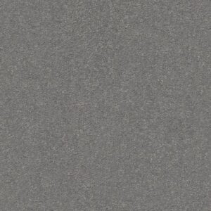 MONTAGE I by Shaw Floors - Cosmic Quest