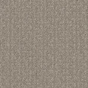 TRANSFORM by Shaw Floors - Fossil