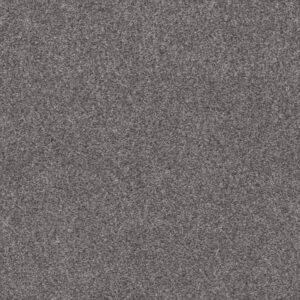 CALM SIMPLICITY I by Shaw Floors - Silver Lining