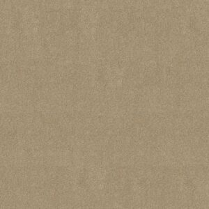 INSPIRED BY III by Shaw Floors - Beach Walk