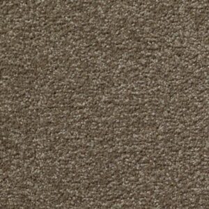 WHY NOT ME by Shaw Floors - Brushed Suede