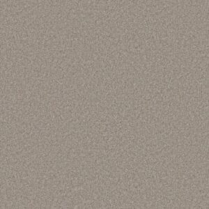 YOU GOT THIS III by Shaw Floors - Chic Greige