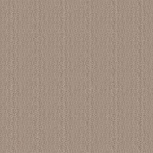 LOOP DE LOOP by Shaw Floors - Pebble Path