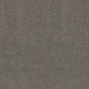 ARTISTIC FUSION I by Shaw Floors - Shadow