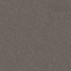 HARD AT PLAY II 12' by Shaw Floors - Ashes