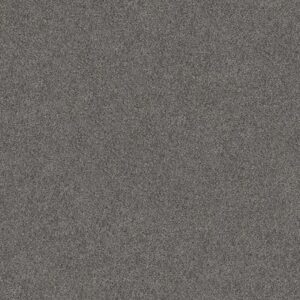 TRUSPIRIT I by Shaw Floors - Quarry